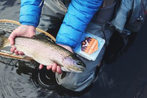 Fish & Game Meeting